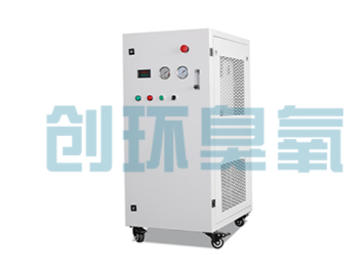 武威石斑鱼养殖水质调控完整指南:臭氧发生器配置与操作步骤