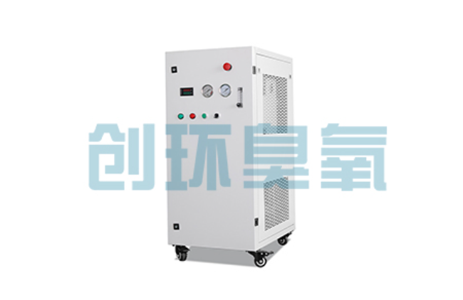 武威比传统换水更高效?臭氧发生器在石斑鱼养殖中的水质净化原理解析